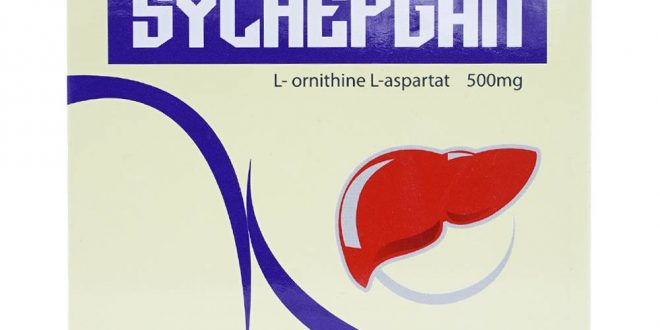 Thuốc sylhepgan 500mg là thuốc gì? có tác dụng gì? giá bao nhiêu tiền?