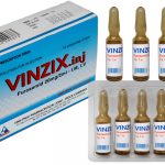 Thuốc vinzix 20mg/2ml là thuốc gì? có tác dụng gì? giá bao nhiêu tiền?
