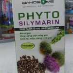Thuốc phyto silymarin là thuốc gì? có tác dụng gì? giá bao nhiêu tiền?