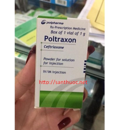 Thuốc poltraxon 1g là thuốc gì? có tác dụng gì? giá bao nhiêu tiền?