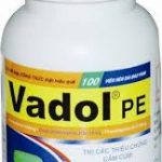 Thuốc vadol pe là thuốc gì? có tác dụng gì? giá bao nhiêu tiền?
