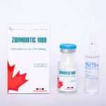 Thuốc zidimbiotic 1000 là thuốc gì? có tác dụng gì? giá bao nhiêu tiền?