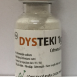 Thuốc dysteki 1g là thuốc gì? có tác dụng gì? giá bao nhiêu tiền?