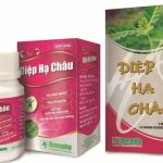 Diệp hạ châu danapha có tác dụng gì? giá bao nhiêu tiền?