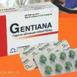 Thuốc gentiana là thuốc gì? có tác dụng gì? giá bao nhiêu tiền?