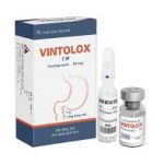 Thuốc vintolox 40mg là thuốc gì? có tác dụng gì? giá bao nhiêu tiền?