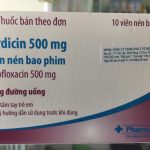 Thuốc nirdicin 500mg là thuốc gì? có tác dụng gì? giá bao nhiêu tiền?