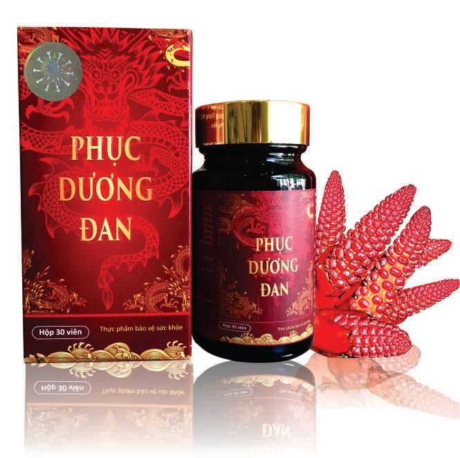 Phục dương đan là thuốc gì? có tác dụng gì? giá bao nhiêu tiền?