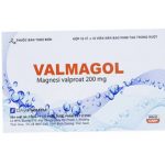 Thuốc valmagol là thuốc gì? có tác dụng gì? giá bao nhiêu tiền?