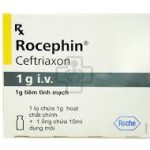 Thuốc rocephin 1g i.v là thuốc gì? có tác dụng gì? giá bao nhiêu tiền?
