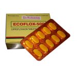Thuốc ecoflox 500 là thuốc gì? có tác dụng gì? giá bao nhiêu tiền?
