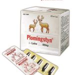 Thuốc plomingstyn 500 là thuốc gì? có tác dụng gì? giá bao nhiêu tiền?