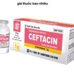 Thuốc ceftacin 1g là thuốc gì? có tác dụng gì? giá bao nhiêu tiền?