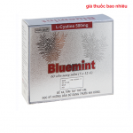 Thuốc bluemint 500 là thuốc gì? có tác dụng gì? giá bao nhiêu tiền?