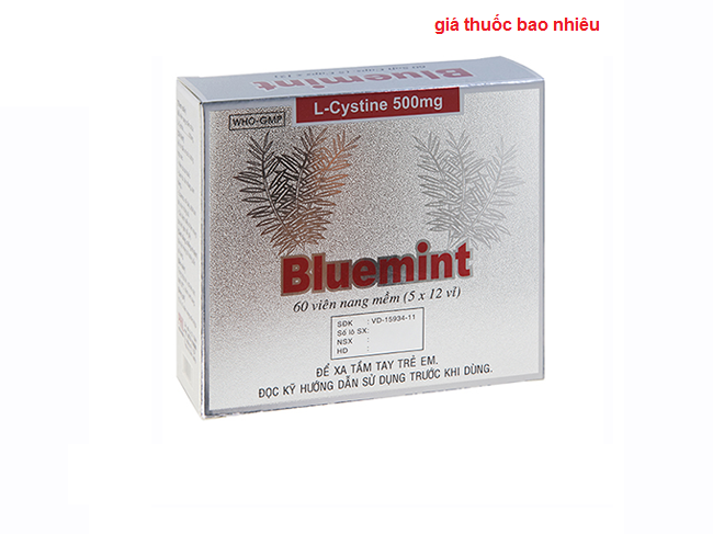 Thuốc bluemint 500 là thuốc gì? có tác dụng gì? giá bao nhiêu tiền?