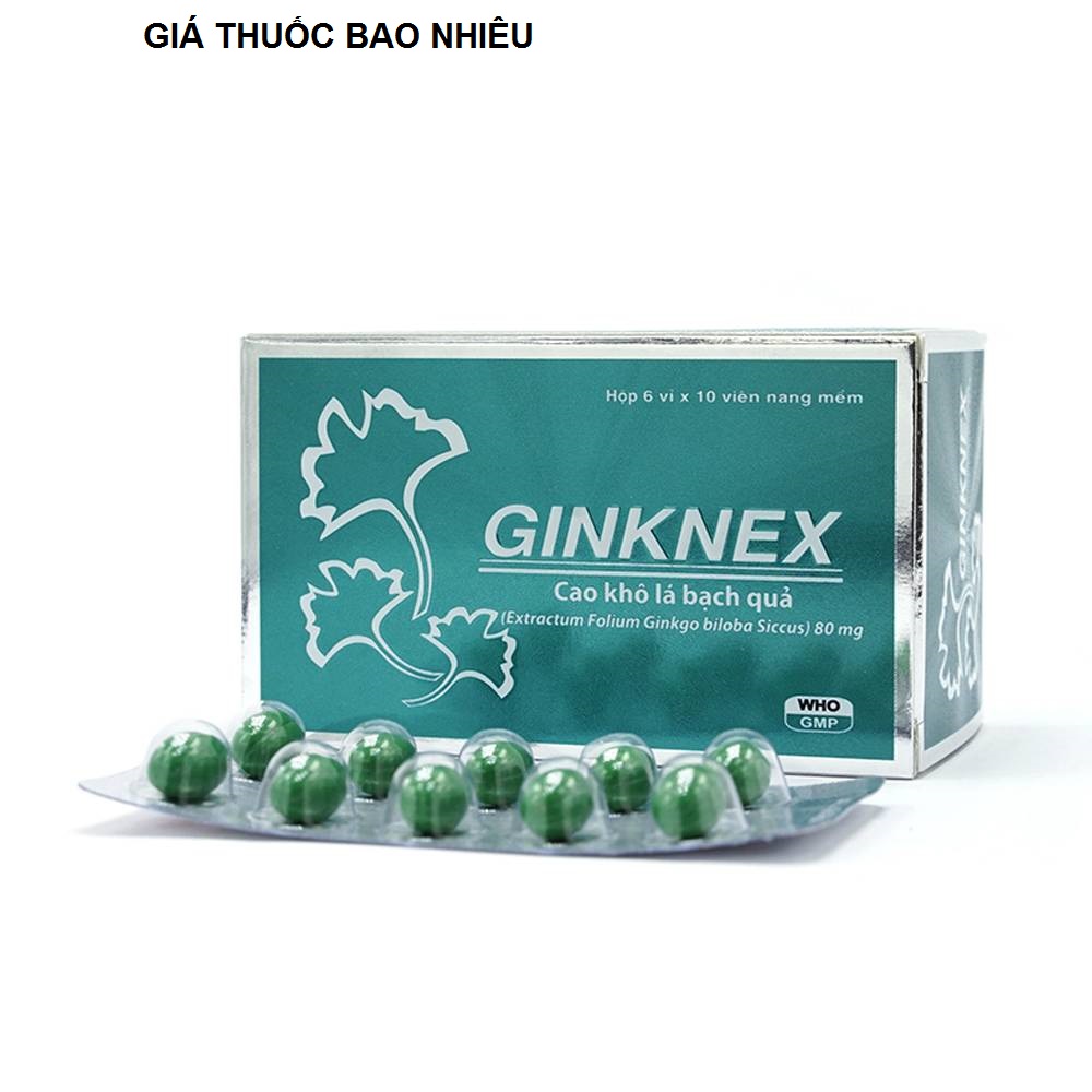Thuốc ginknex 80 là thuốc gì? có tác dụng gì? giá bao nhiêu tiền?