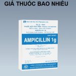 Thuốc ampicillin 1g là thuốc gì? có tác dụng gì? giá bao nhiêu tiền?