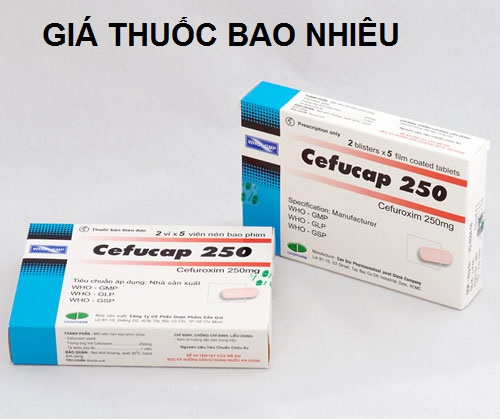 Thuốc cefucap 250 là thuốc gì? có tác dụng gì? giá bao nhiêu tiền?