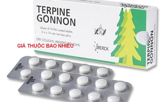 Thuốc terpin gonon là thuốc gì? có tác dụng gì? giá bao nhiêu tiền?