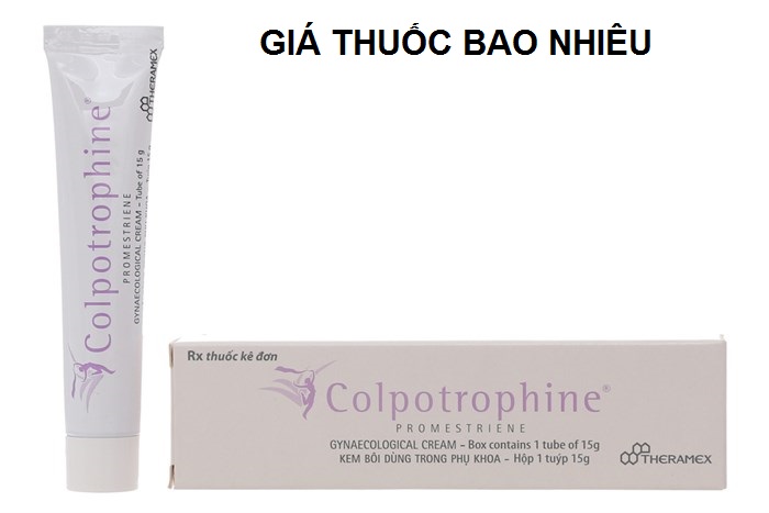 Thuốc colpotrophine cream 15g là thuốc gì? có tác dụng gì? giá bao nhiêu tiền?