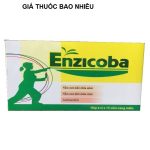 Thuốc enzicoba là thuốc gì? có tác dụng gì? giá bao nhiêu tiền?