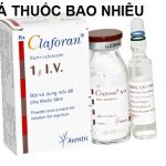Thuốc claforan 1g là thuốc gì? có tác dụng gì? giá bao nhiêu tiền?