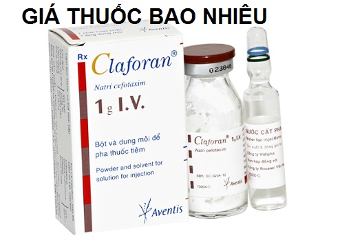 Thuốc claforan 1g là thuốc gì? có tác dụng gì? giá bao nhiêu tiền?