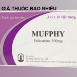 Thuốc mufphy 300 là thuốc gì? có tác dụng gì? giá bao nhiêu tiền?
