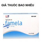 Thuốc famela 120mg là thuốc gì? có tác dụng gì? giá bao nhiêu tiền?