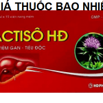 Thuốc actiso HĐ là thuốc gì? có tác dụng gì? giá bao nhiêu tiền?