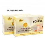 Thuốc echina kingphar là thuốc gì? có tác dụng gì? giá bao nhiêu tiền?