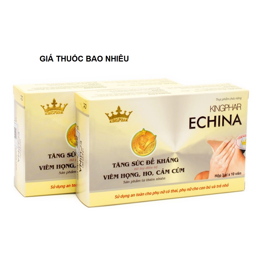 Thuốc echina kingphar là thuốc gì? có tác dụng gì? giá bao nhiêu tiền?