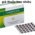 Thuốc chophytol artichaut 200 là thuốc gì? có tác dụng gì? giá bao nhiêu tiền?