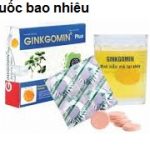 Thuốc ginkgomin plus là thuốc gì? có tác dụng gì? giá bao nhiêu tiền?