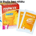 Thuốc hapacol 250 flu là thuốc gì? có tác dụng gì? giá bao nhiêu tiền?