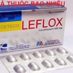 Thuốc ceteco leflox 250mg là thuốc gì? có tác dụng gì? giá bao nhiêu tiền?