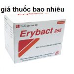 Thuốc erybact 365 là thuốc gì? có tác dụng gì? giá bao nhiêu tiền?