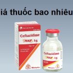Thuốc ceftazidime mkp 1g là thuốc gì? có tác dụng gì? giá bao nhiêu tiền?