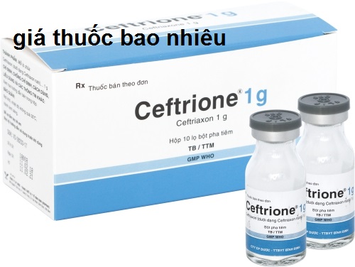 Thuốc ceftrione 1g là thuốc gì? có tác dụng gì? giá bao nhiêu tiền?
