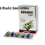 Thuốc boganic lippi là thuốc gì? có tác dụng gì? giá bao nhiêu tiền?