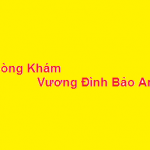Phòng khám bác sĩ Vương Đình Bảo Anh ở đâu? giá khám bao nhiêu?