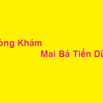 Phòng khám bác sĩ Mai Bá Tiến Dũng ở đâu? giá khám bao nhiêu?