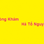 Phòng khám bác sĩ Hà Tố Nguyên ở đâu? giá khám bao nhiêu?