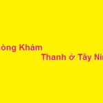Phòng khám bác sĩ Thanh tây ninh ở đâu? giá khám bao nhiêu?