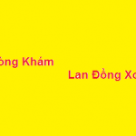 Phòng khám bác sĩ Lan đồng xoài ở đâu? giá khám bao nhiêu?