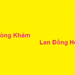Phòng khám bác sĩ Lan đồng hới ở đâu? giá khám bao nhiêu?