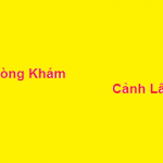 Phòng khám Bác sĩ Cảnh Lâm ở đâu? giá khám bao nhiêu?