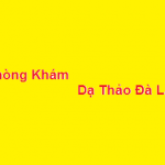 Phòng khám bác sĩ Dạ Thảo đà lạt ở đâu? giá khám bao nhiêu?