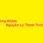 Phòng khám bác sĩ Nguyễn Lý Thịnh Trường ở đâu? giá khám bao nhiêu?