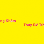 Phòng khám bác sĩ Thủy BV từ dũ ở đâu? giá khám bao nhiêu?